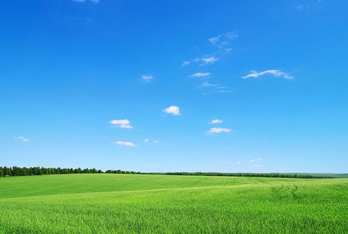 Immobiliensuche Grundstück