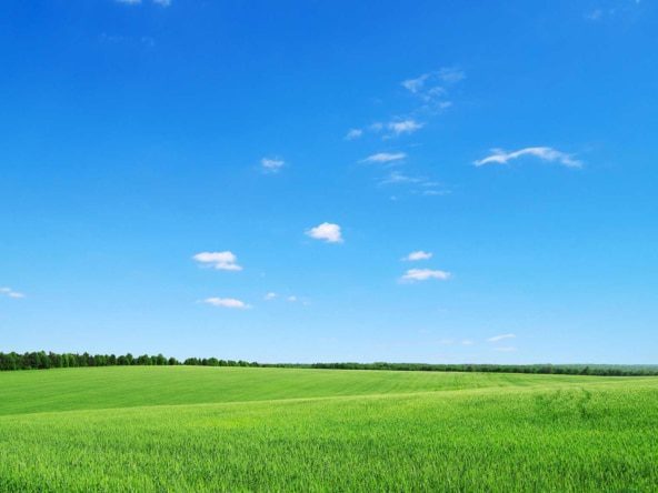 Immobiliensuche Grundstück