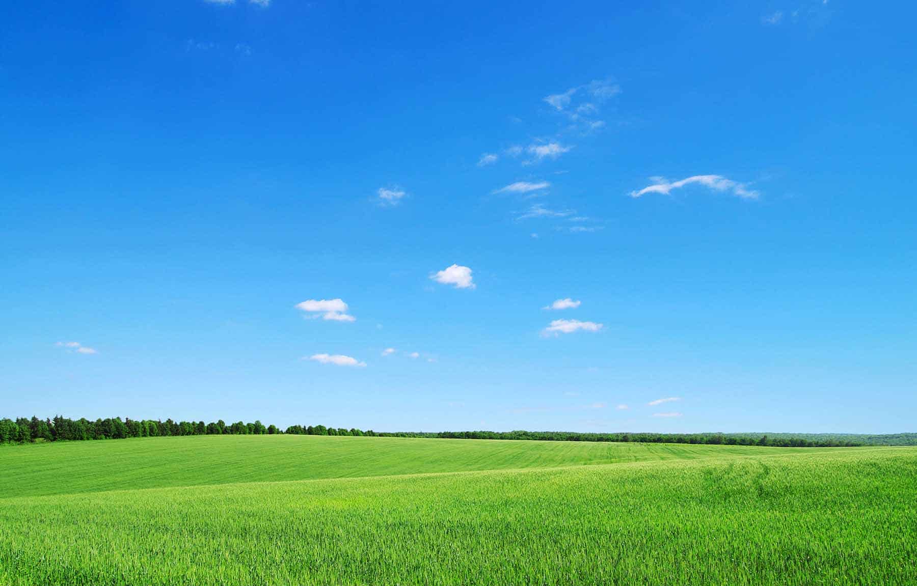 Immobiliensuche Grundstück