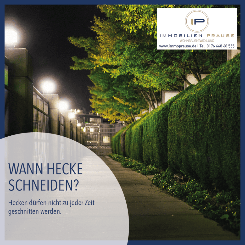 Social Immo Content2go Immobilien Prause 13