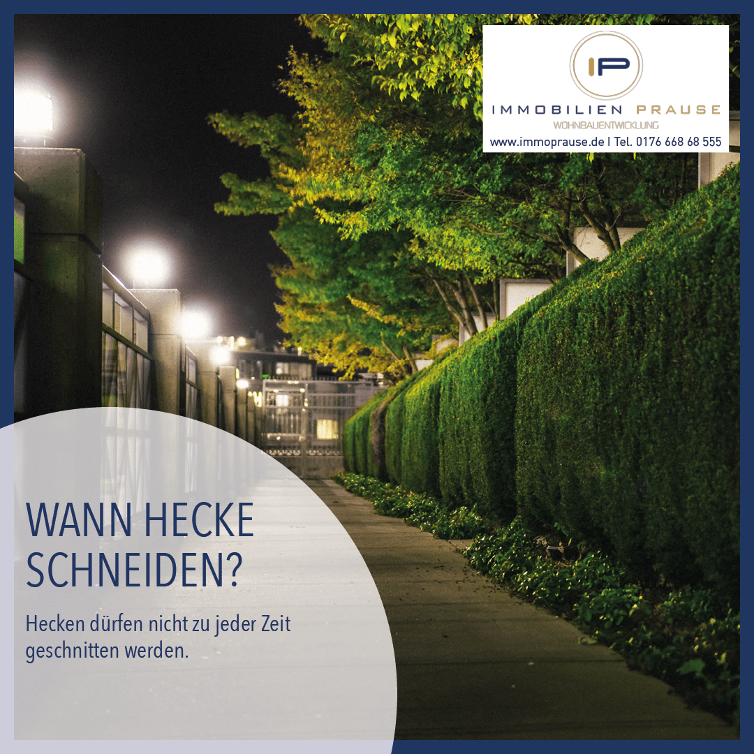 Social Immo Content2go Immobilien Prause 13