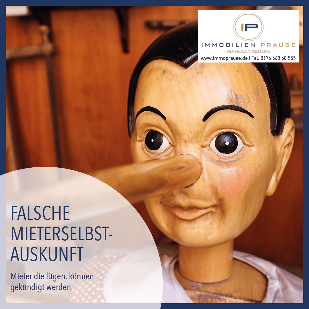 Social Immo Content2go Immobilien Prause 41