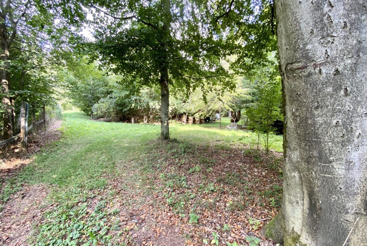 Waldgrundstück Geltendorf Zufahrt