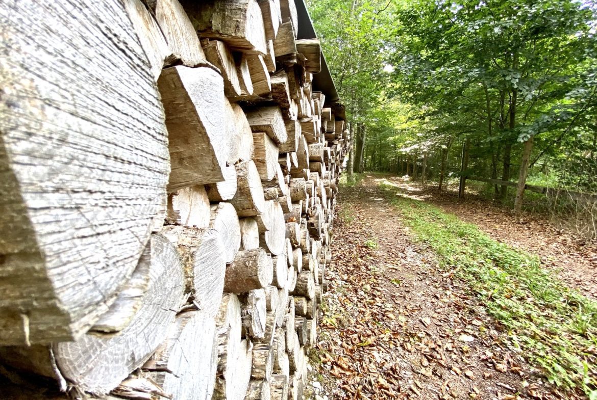 Waldgrundstück Geltendorf Holz