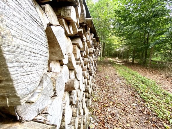 Waldgrundstück Geltendorf Holz