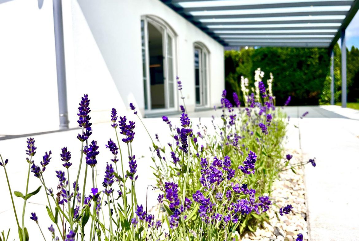Einfamilienhaus Terrasse