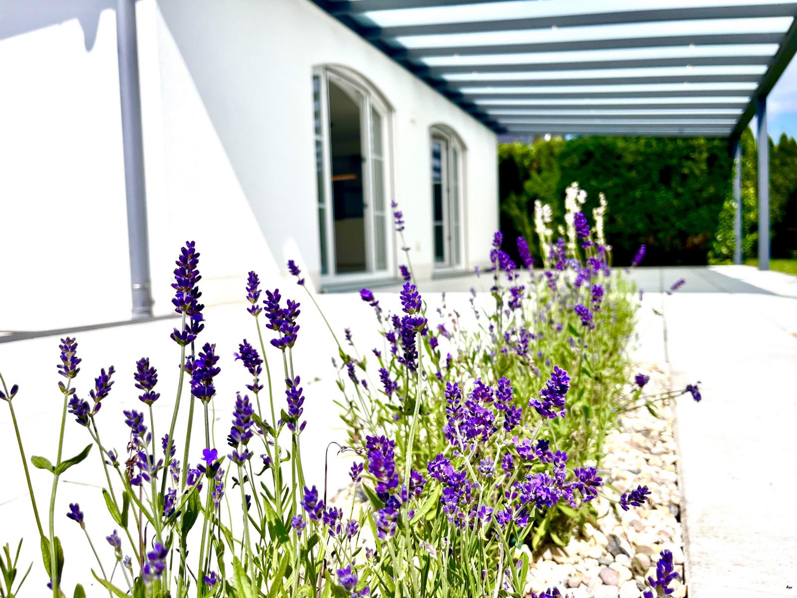 Einfamilienhaus Terrasse