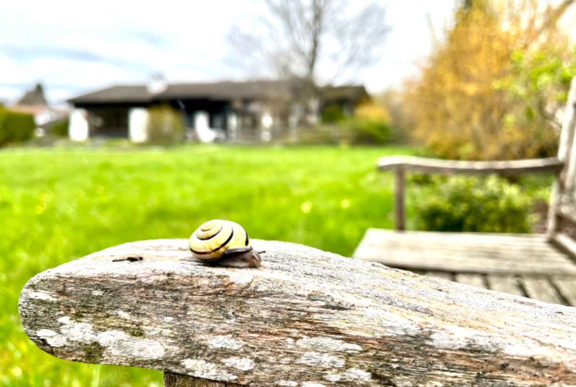 Grundstueck-in-Reichling-zu-verkaufen_Immobilie_verkauf_5