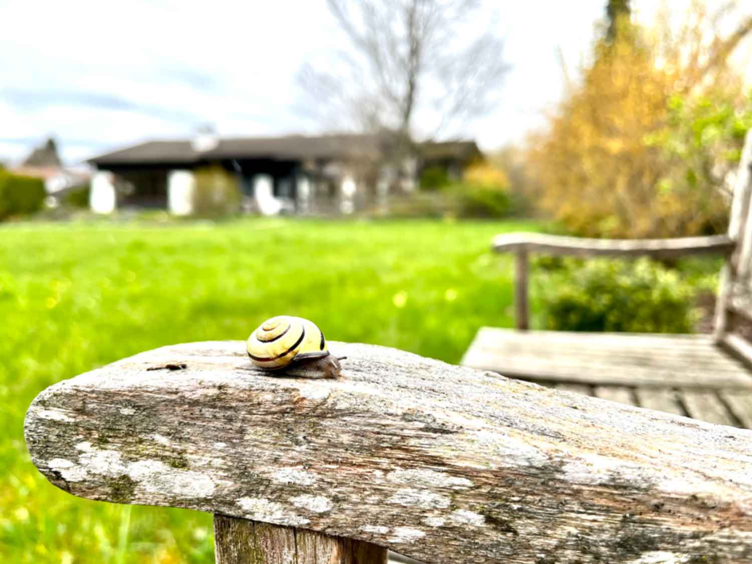 Grundstueck-in-Reichling-zu-verkaufen_Immobilie_verkauf_5