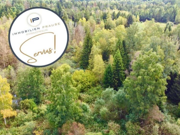 Windach Waldgrundstück2