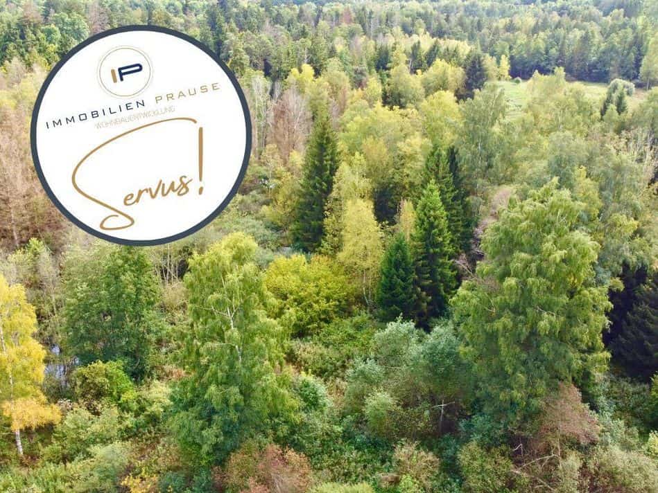 Windach Waldgrundstück2